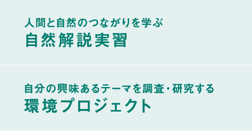 人間環境学部 学部 大学院 広島修道大学 人間環境学部 学部 大学院 広島修道大学