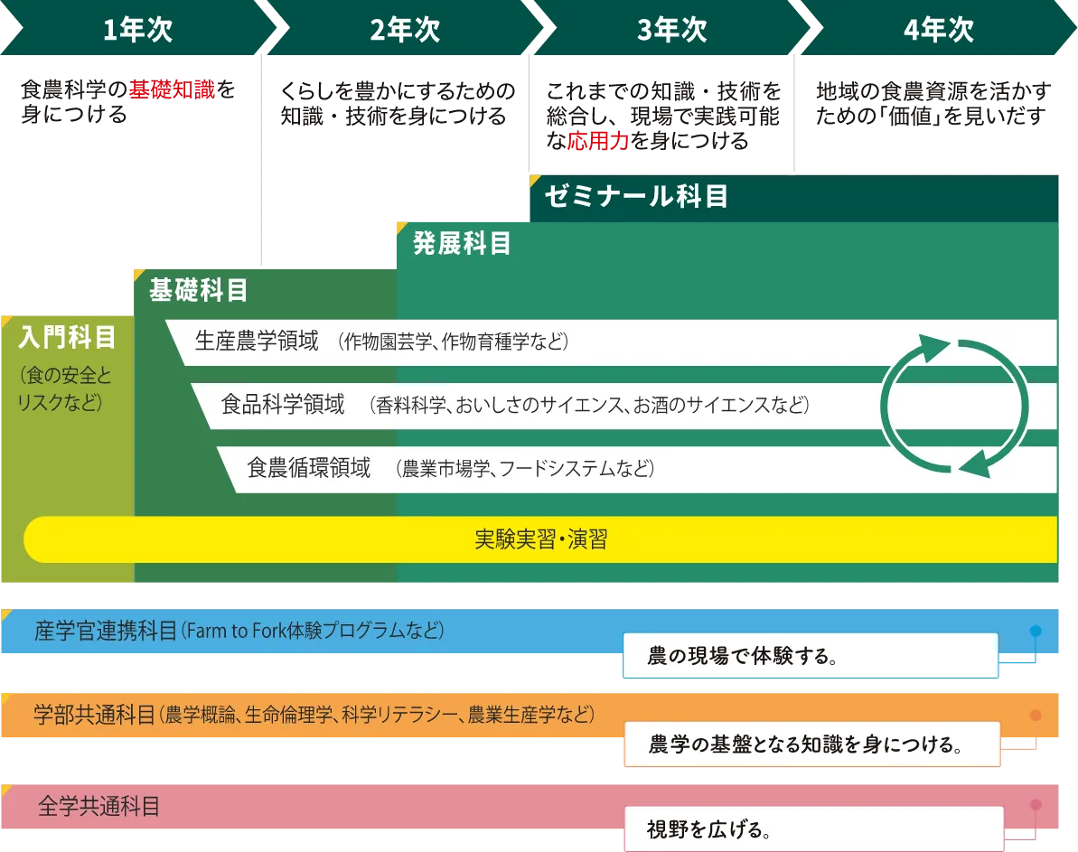 カリキュラムイメージ。1年次から4年次までの科目構成と、生産農学・食品科学・食農循環の3領域、実験実習・演習、産学官連携科目、学部共通科目、全学共通科目の流れ。