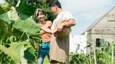 畑でかごを持って作業する二人。