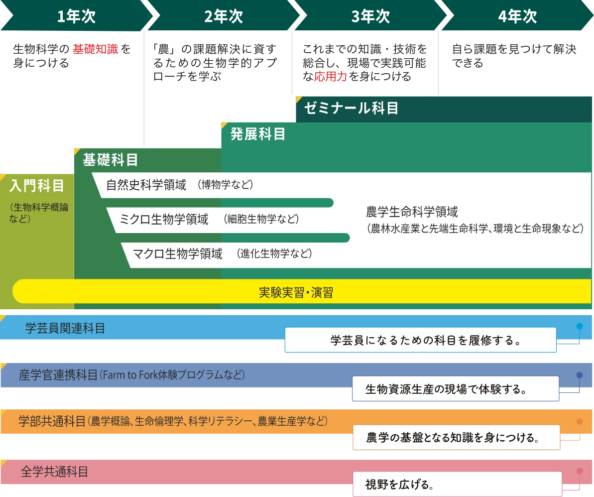 カリキュラムイメージ。1年次から4年次までの科目構成と、自然史科学・ミクロ生物学・マクロ生物学・農学生命科学の領域、実験実習・演習、学芸員関連科目、産学官連携科目、学部共通科目、全学共通科目の流れ。