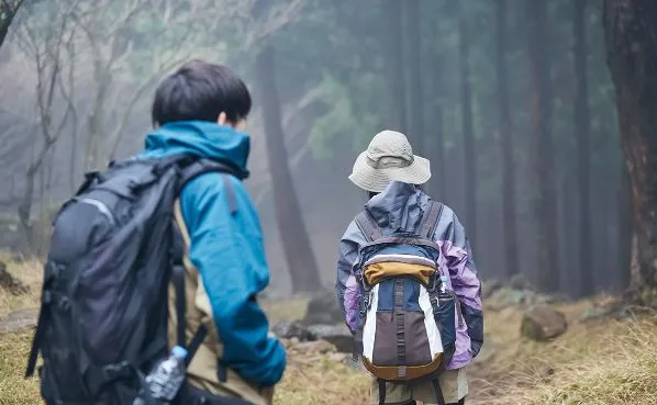霧の森を歩く二人の様子。