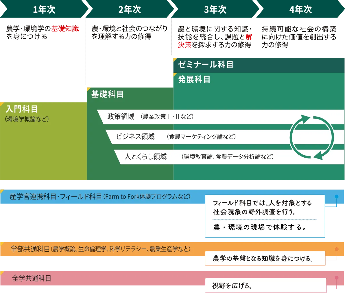 カリキュラムイメージ。1年次から4年次までの科目構成と、政策・ビジネス・人とくらしの3領域、産学官連携科目・フィールド科目、学部共通科目、全学共通科目の流れ。