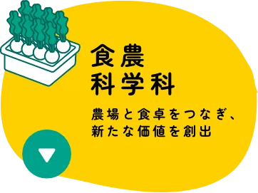 食農科学科　農場と食卓をつなぎ、新たな価値を創出