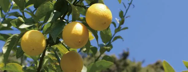 食農科学科