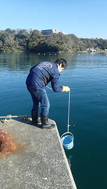 図5:メタバーコーディング解析用の海水を汲む様子。
